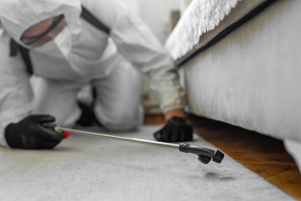 Professional Ant Control technician working in Riverside, OH